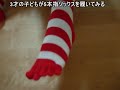 ３才の子どもが５本指ソックスを履いてみる