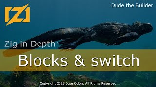 Zig in Depth: Blocks and switch