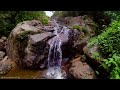 sri lanka 4k scenic relaxation film with inspiring cinematic music and nature 4k video ultra hd