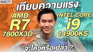 เทียบความแรง AMD Ryzen 7 7800X3D VS Intel Core i9-14900KS จะไหวหรือเปล่า ? | iHAVECPU