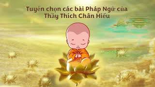 17. TÂM và CẢNH - Trì Danh như thế nào-Tâm nhớ Phật,có Phật là Tâm Thanh Tịnh-Hãy buông xả vạn duyên