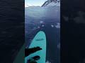 POV Surfing glacier Tsunami in Alaska #calving #glacier #waves #shorts #surfing #surf