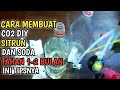 CARA MEMBUAT CO2 DIY SITRUN DAN BAKING SODA│JURNAL AQUASCAPE