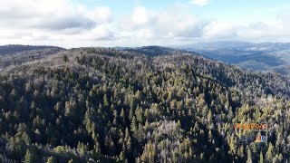 OpenRoad with Doug McConnell: Redwoods and Climate Change, EP86