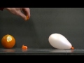 pop a balloon with an orange peel simple science experiment