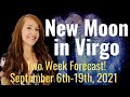 LIBERATING New Moon in Virgo & MAGICAL Neptune Energy! 2 Week Astrology Forecast for ALL 12 SIGNS!