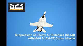 DCS World - F/A-18C Hornet - SEAD w/AGM-84H SLAM-ER Cruise Missile - w/Turkish AF SEAD Group