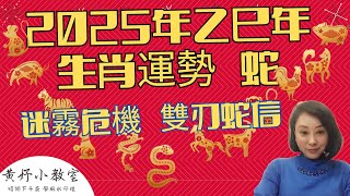 【2025年生肖運勢-蛇】：蛇影迷霧，一場命運的試煉！即將展開，是機遇還是危機？屬蛇人必知的危機之路！