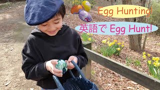 Egg hunting! / 英語でエッグハンティング！/バイリンガル教育