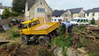 Unimog 406 pulling stumps 6