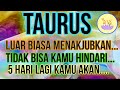 ZODIAK TAURUS - BERSIAPLAH..5 HARI LAGI KAMU AKAN..#tarot #zodiak #taurus #taurustarot #tarottaurus