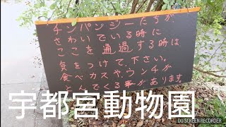 宇都宮動物園 攻略    チンパンジー 栃木県