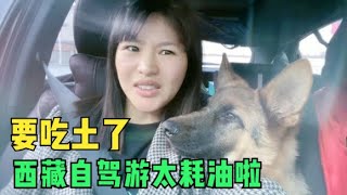 本田XRV自驾西藏每公里油耗5毛钱多吗？一天加两次油，妹子心痛呐《东北女孩一个人自驾环游中国》