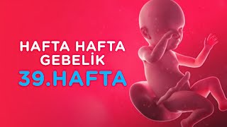 Hamilelikte 39. Hafta - Hafta Hafta Gebelik | İlk Adımlarım