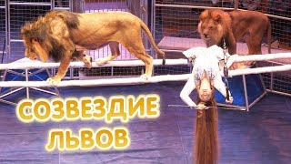 Цирк «Созвездие львов» - ПОЛНАЯ ВЕРСИЯ