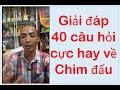 08/05 Giải đáp +40 câu hỏi cực hay về chim Đấu, Chim Bổi, chim Cà phê