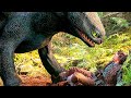 Hiccup meets Toothless for the 1st time | How to Train Your Dragon | CLIP