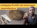 ஏகாச்சிநாரியல் | கண்திருஷ்டி போக்கும்  Ekkachi nariyal | Pooja items| velli pillayar kadai