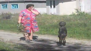 TRY NOT TO LAUGH 😆 Best Funny Videos Compilation 😂😁😆 Memes PART 137