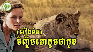 រឿងពិត៖ ចិញ្ចឹមតោដូចកូនបង្កើត