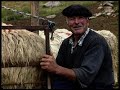 QUESO artesano en una cabaña del Pirineo. Elaboración en 1996 con leche recién ordeñada  Documental
