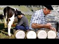 Artisan cheese in a cabin in the Pyrenees. Made in 1996 with freshly milked milk | Documentary film