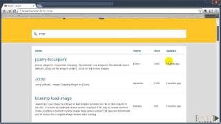 Mastering MEAN Web Development Tutorial: Bower Search | packtpub.com