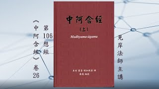 《中阿含經》卷 26 ｜第 106 經 《想經》｜見岸法師主講