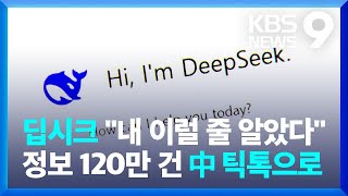 “딥시크가 중국에 넘긴 정보는 120만 건”…처벌 불가피? [9시 뉴스] / KBS  2025.02.18.