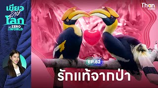 นกเงือก...รักแท้ของป่าใหญ่ | วันรักนกเงือก 13 ก.พ. | เขียวรักษ์โลก | EP.61