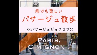 【お散歩パリ】雨でも楽しい小道”パサージュジョフロワ”をご紹介