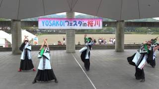 颯流『SAMURAI-侍-』／YOSAKOIフェスタ in 桜川2016