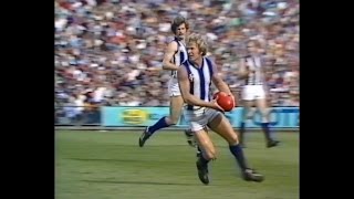 1976 VFL Preliminary Final - Barry Cable highlights