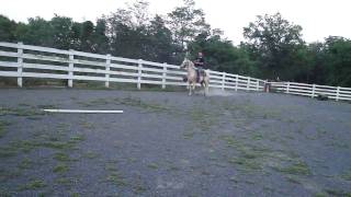M4H07779.MP4