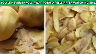 You're Wasting Gold Every Time You Peel Potatoes! Here's Why