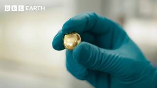 How Much Gold Is There on Earth? | BBC Earth Science