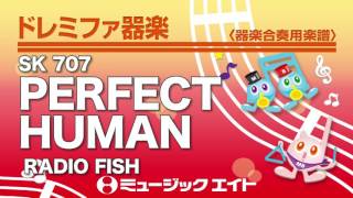 《ドレミファ器楽》PERFECT HUMAN／RADIO FISH（SK音源）