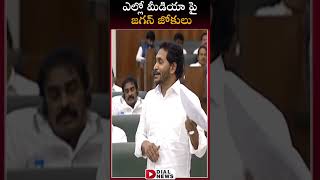 ఎల్లో మీడియా అంటూ జగన్ జోకులు || CM Jagan Comedy on Yellow Media || Shorts || Dial News