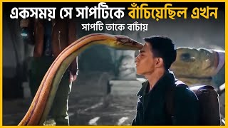 ছোট থাকতে সে সাপটিকে বাঁচিয়েছিল, এখন সাপটি তাকে বাচাঁয় - Movie Explained In Bangla