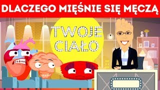 Dlaczego nasze mięśnie się męczą, a mózg nie