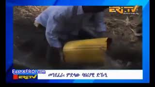 ኢትዬጵያ ኣየር መንገድ ምስ ቀዳማይ ሚኒስተር ነበር ሃይለማርያም ደሳለኝን ልዕሊ 400 ተሳፈርቲ ሒዛ ኣስመራ ኣትያ Ethiopian Airlines A