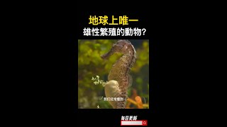 地球上唯一雄性繁殖的動物？#冷知識