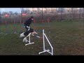 li shepter last agility trainings in 2017