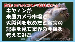 間違いだらけのカメラ機材選びch 「キヤノンが米国カメラ市場で大勝利を収めたと宣言の記事を見て業界の今後を考えてみた」