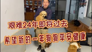 2024-12-21 Xiaoxu's Mountain Life with Dogs 小伙带着200多只流浪狗即将度过艰难的2024年，希望在新的一年里狗狗们幸福快乐健健康康。