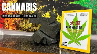 為什麼大麻會變成毒品？因為種族歧視！