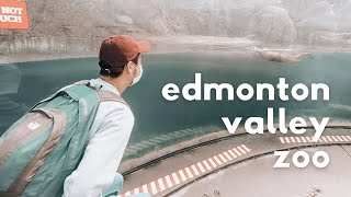 Edmonton Valley Zoo (Alberta) | Canada 2020