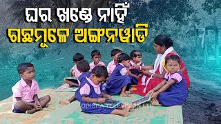 Special Story | Unavailability of classroom forces anganwadi to run under trees in Rajgangpur