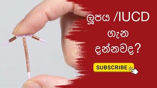 උපත් පාලනය | ලූප් එක ගැන දන්නවද? | sinhala medical channel