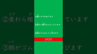 やさ日３文クッキング ワンピース編 NC003